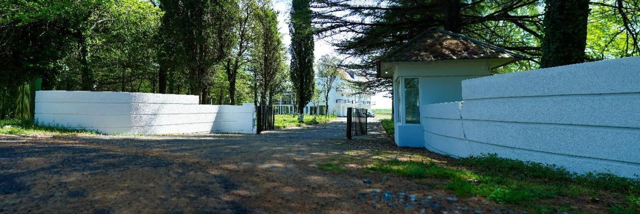 Hotel Tsiskari Ianet'i المظهر الخارجي الصورة