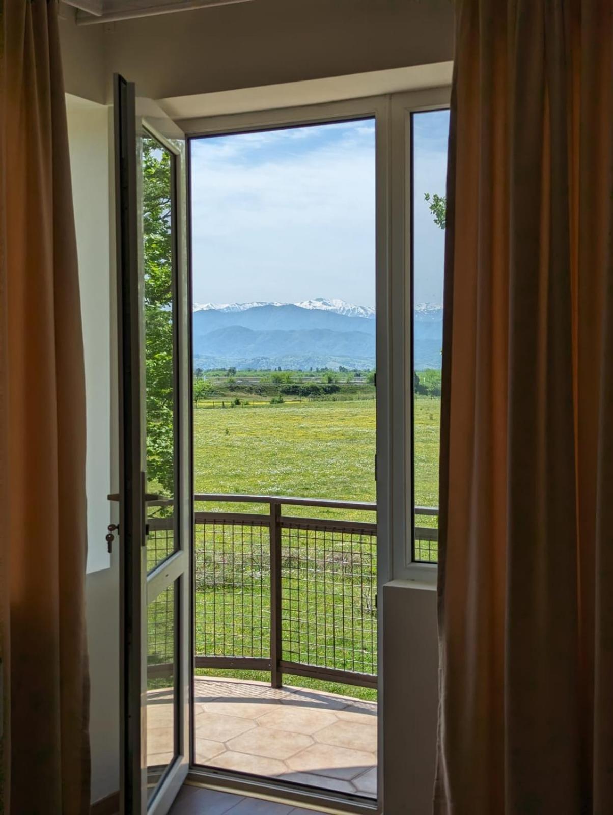 Hotel Tsiskari Ianet'i المظهر الخارجي الصورة
