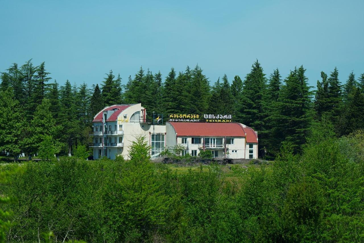 Hotel Tsiskari Ianet'i المظهر الخارجي الصورة