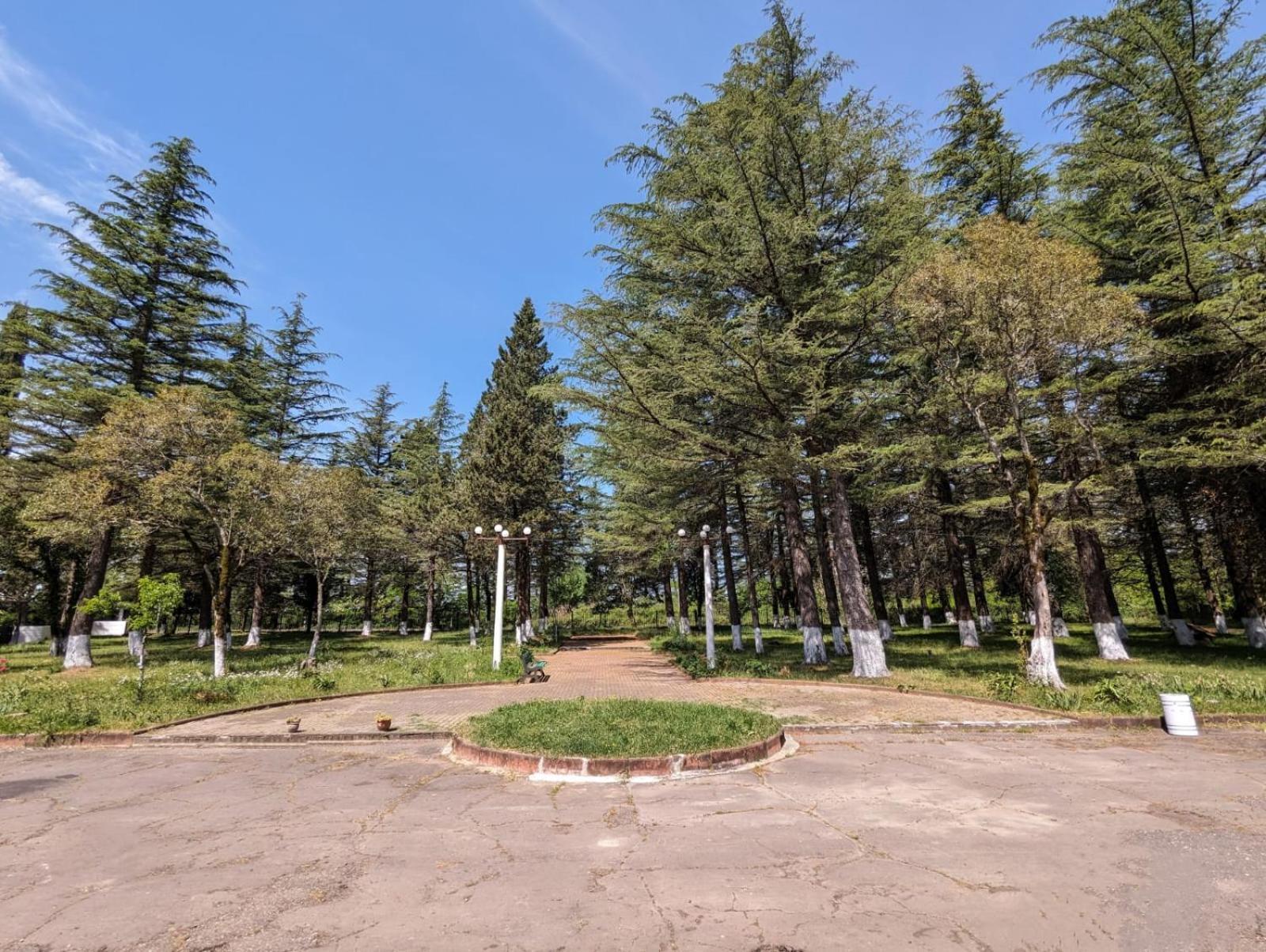 Hotel Tsiskari Ianet'i المظهر الخارجي الصورة